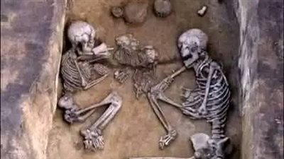 article