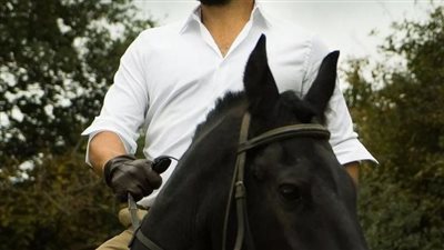 article